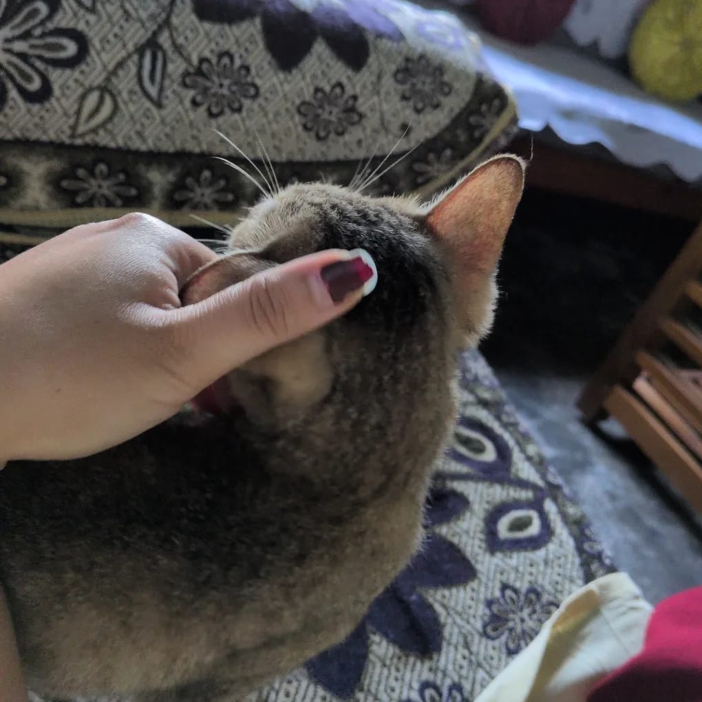 Another goofy candid